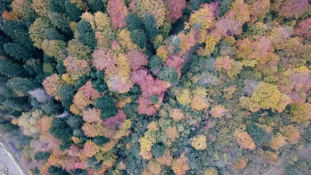 Flying over autumn carpathian mountains near by Vorohta, Ukraine