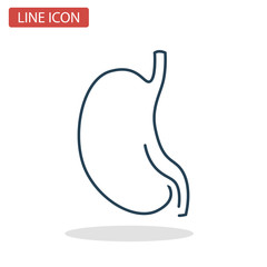 Human stomach line icon for web and mobile design