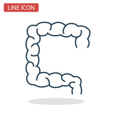 Human intestines line icon for web and mobile design