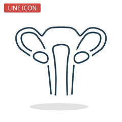 Gemale uterus line icon for web and mobile design