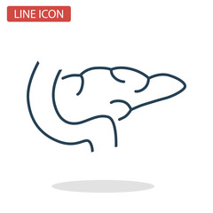Pancreas line icon for web and mobile design