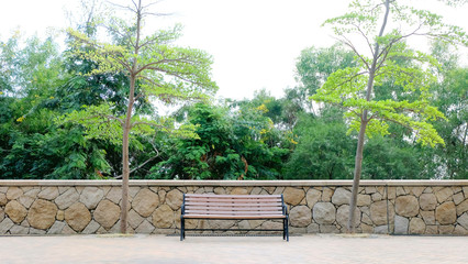 The brown wooden bench, green plants, stone wall in garden
