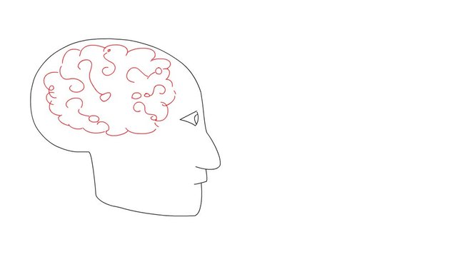 Real time animation of hand drawn brain with questions and speech bubble.