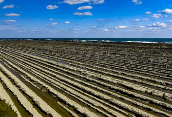 日南海岸　鬼の洗濯岩