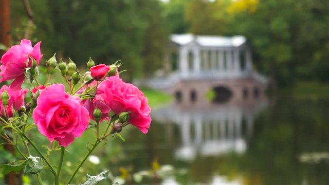 Autumn in Saint Petersburg. Tsarskoye Selo. Pushkin. Russia. The lake in the Park