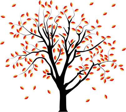vector image of a tree in autumn with falling leafs