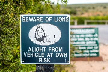 "Beware of lions" warning sign at the entrance of a picknick parking area in Addo Elephant National Park near Port Elizabeth, Eastern Cape Province, South Africa. 