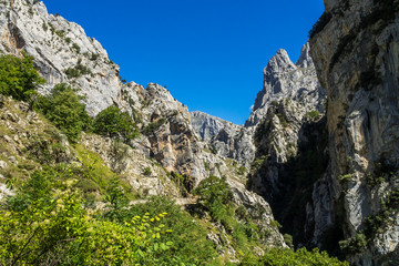 Fototapeta na wymiar Spanien - Kantabrien - Picos de Europa - Garganta del Cares