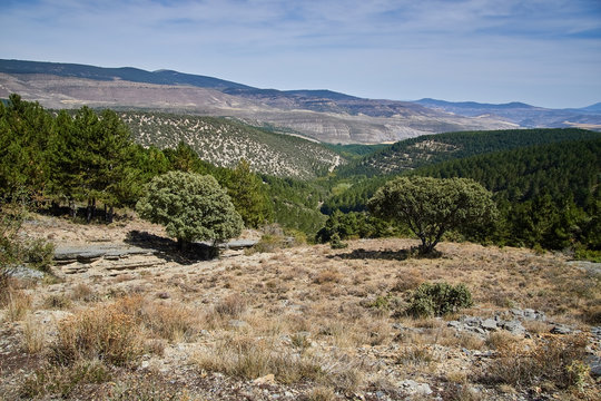 Soria Bilder Durchsuchen 9,492 Archivfotos, und Videos