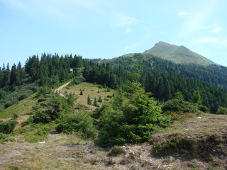 Obraz premium A tourist road in the middle of a mountain forest to the top of the mountain.