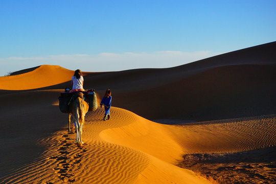 Zagora, Camel Trip, Sahara Desert, Morocco, Africa