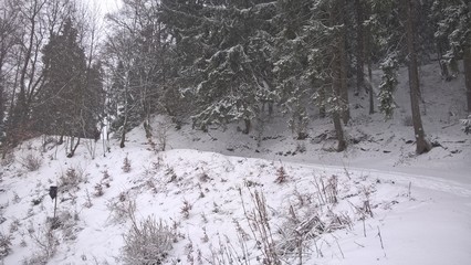 Nature covered in snow during deep winter. Slovakia