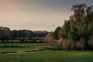 Fototapeta na wymiar Rural landscape in Autumn, Kortenaken, Flanders, Belgium, Europe