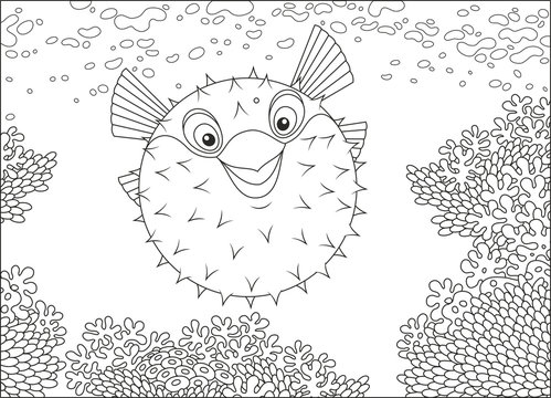 A fish-hedgehog swimming over an amazing coral reef in a tropical sea, a black and white vector illustration in cartoon style for a coloring book