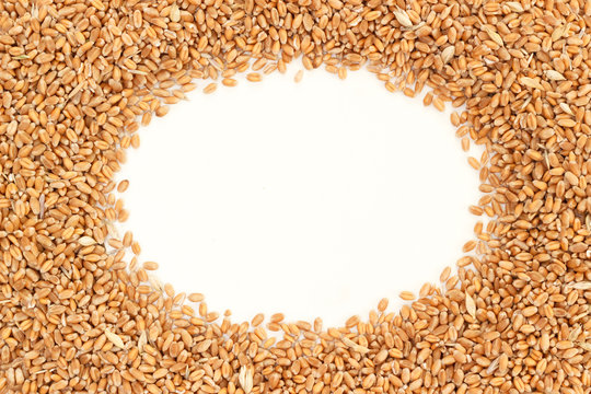 Raw wheat frame with white background