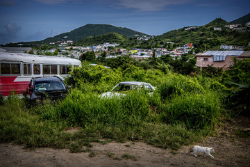 sint maarten op stap met christine hodge in dutch quater 