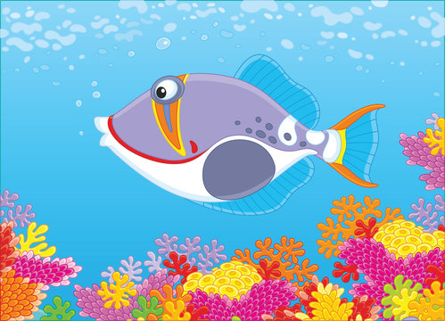 A triggerfish swimming in blue water over a colorful coral reef in a tropical sea, a vector illustration in cartoon style