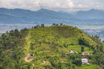 Green rice fields in Pokhara Valley, Nepal
