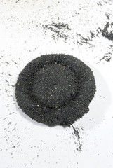 Circular magnet with iron particles on white background.