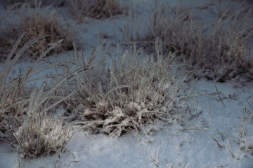 Myvatn | Nord Island