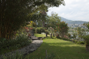 Panoramic view of the garden in Guatemala, care and commitment, preserve natural plants.