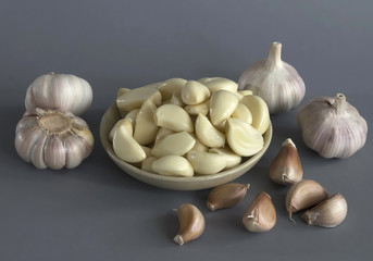 Harvest garlic in the dish on the grey background.