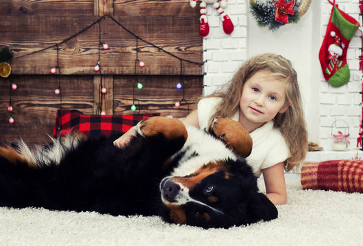 little girl and Bernese Mountain Dog