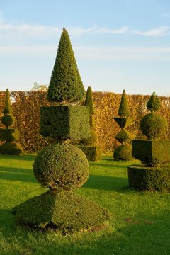 Buchsb&auml;ume in einem &ouml;ffentlichen barocken Landschaftspark bei Hundisburg in Deutschland