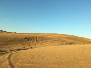 Fototapeta na wymiar Wüste im Abendlicht