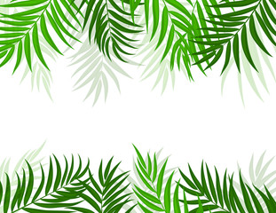 Naklejka na ściany i meble Beautifil Palm Tree Leaf Silhouette Background Vector Illustration