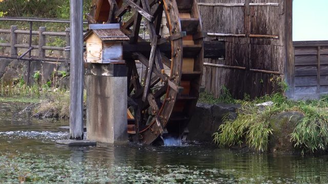 A water mill of a park's pond - video 4K UHD 1