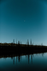Reflection of trees and moon on still water, calming nature background.