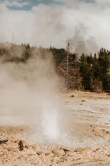 Water feature erupts in Norris Geyser Basin, Yellowstone National Park, Wyoming