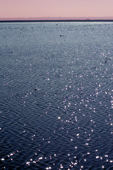Landscape of marsh full of water at sunrise