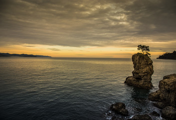 portofino the rock tree