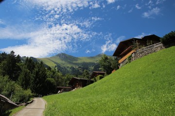 paradisrundweg in Alps