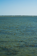 Landscape of marsh full of water at sunrise