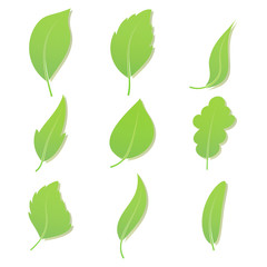 Leaves icon vector set isolated on white background. Eco-icons. Vector Illustration.