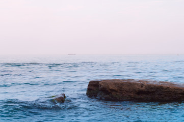 Fototapeta premium stone from the shellfish protruding from the blue sea against the background of the dark sky