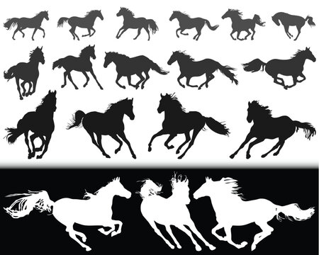 Black silhouettes of horses on a white background and  white silhouettes  on a black background 