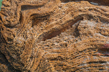background natural not processed yellow stone shell