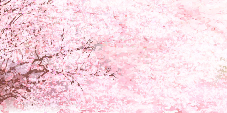 桜　花　春　背景