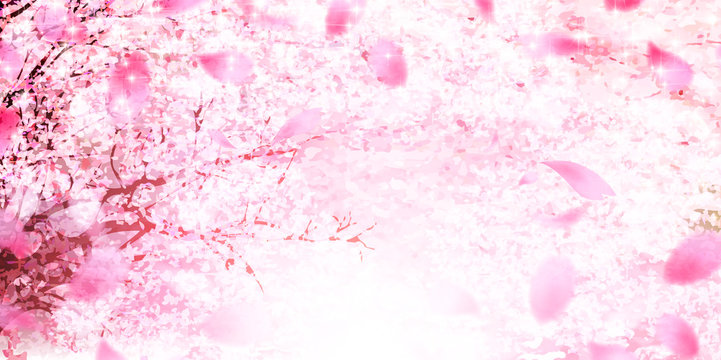 347 998 Best Full Bloom Images Stock Photos Vectors Adobe Stock 347 998 Best Full Bloom Images Stock Photos Vectors Adobe Stock