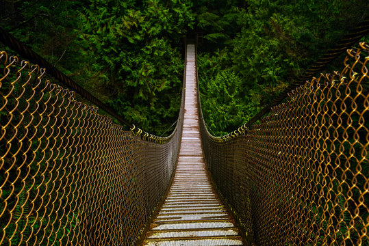 Suspension Bridge in Lynn Canyon Park in North Vancouver, British Columbia, Canada