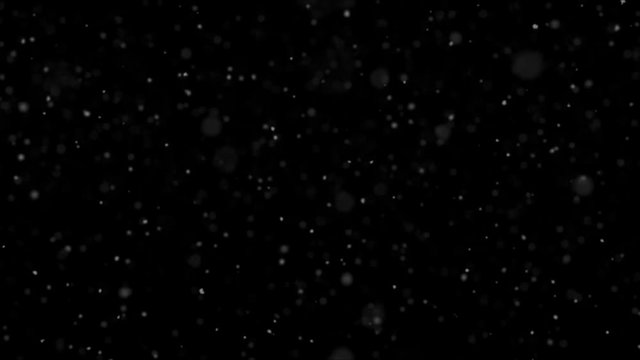 Animated Dust Particle Background with Narrow Depth of Field. 3D Illustration.