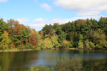 Fall landscape with lake and forest