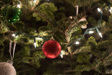 Red ornament on a Christmas tree