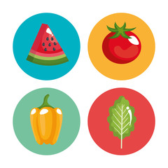 healthy food set icons