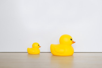 Duck, toy isolated with white background. Leadership concept.