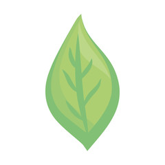 Leaf eco symbol cartoon